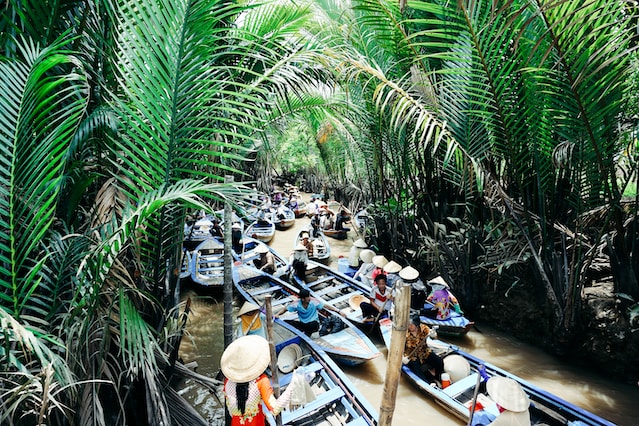 gallary image